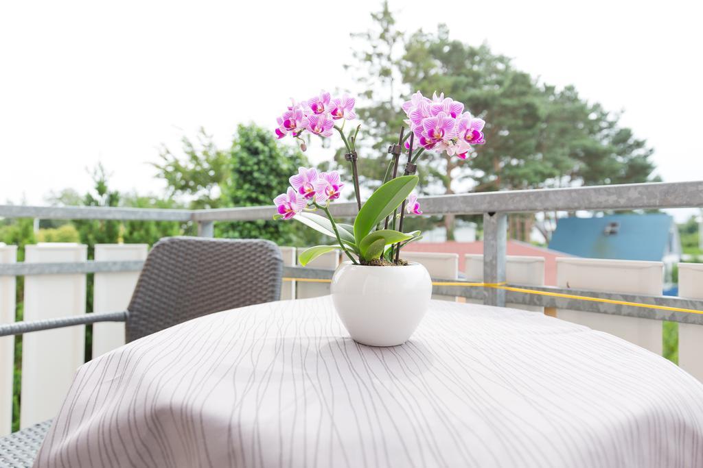 Hotel Garni Am Deich Zingst Chambre photo