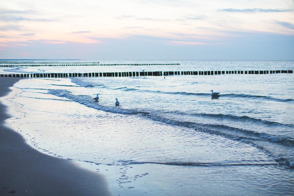 Hotel Garni Am Deich Zingst Extérieur photo
